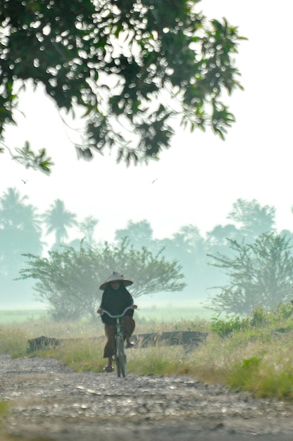 写真 自転車を使って畑を歩く農民たち