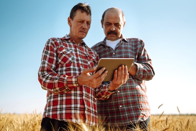 Farmers with tablet in the field Modern agriculture technology Smart farming concept