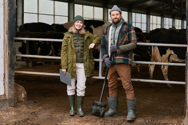 Farmers working in cowshed in team