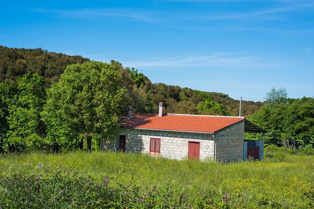 Farmhouse in a green field on a cloudy day