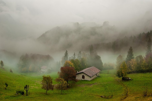 牧草地のある農家 霧の秋