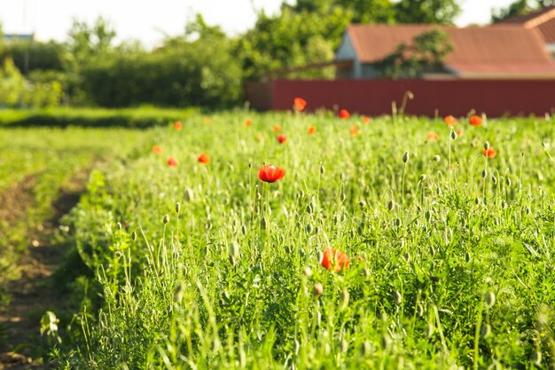 Agriturismo