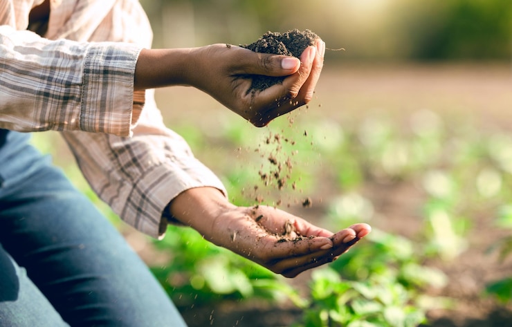 Photo farming agriculture and farmer hands with soil for nutrients healthy plants and growth sustainability natural environment and worker check earth for planting vegetables crops and organic produce