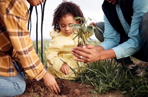 Farming family child or planting in soil agriculture sustainability learning or future growth planning in climate change Man woman or kid and green leaf plant in environment nature or countryside