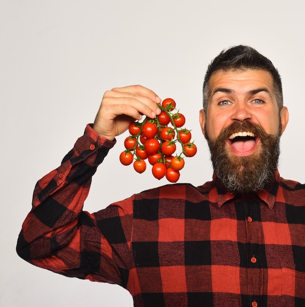 Farming and gardening concept. Man with beard holds fresh vegetables isolated on white background. Farmer with cheerful face shows bunch of red cherry tomatoes. Guy with homegrown harvest