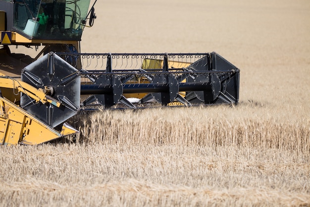 Farming vehicle on field