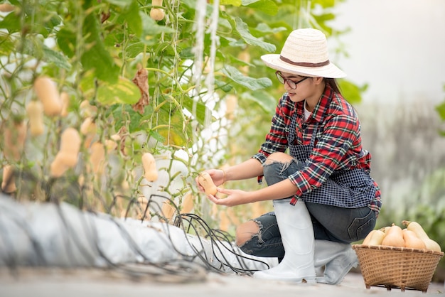 농장에서 butternut 스쿼시 수확에 행복 미소 농업 아가씨