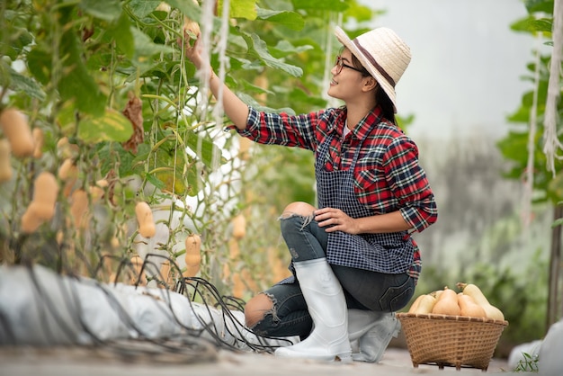 Farming young lady smiling happy with butternut squash harvest in farm