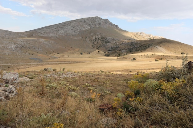 Farmland after the wheat harvest at the foot of the mountain