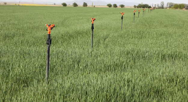 Irrigazione dei terreni agricoli