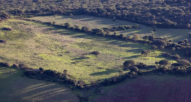 Farmland and landscape on the Sea Coast of Sardinia Italy