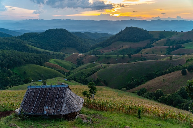 写真 タイ北部のメーホンソン県の緑の季節に木造のコテージと曇りのある丘の上の農地。