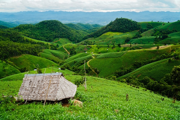 写真 丘の上の農地