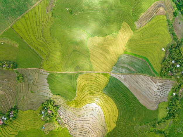Photo farmland in the philippines