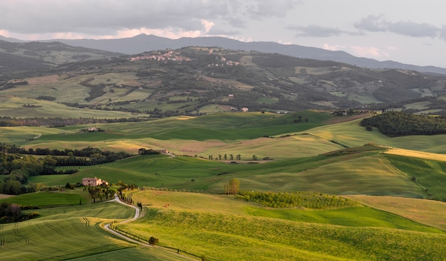 Terreno agricolo sotto pienza in toscana