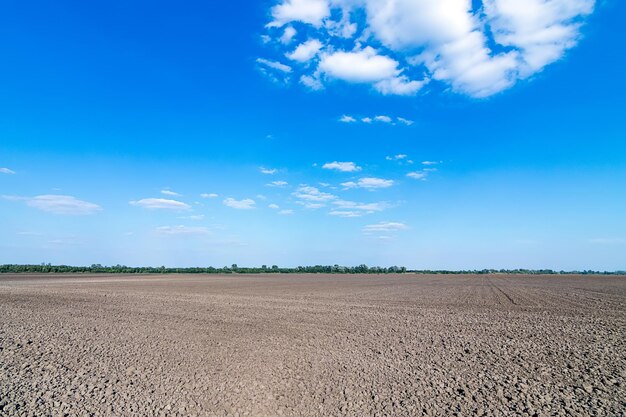 Photo farmland plowed and prepared for cultivation