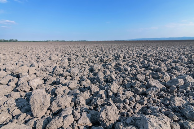 Farmland plowed and prepared for cultivation