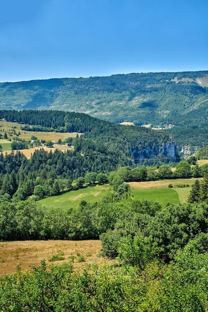 푸른 초원이 우거진 언덕과 시골의 녹음으로 뒤덮인 산이 있는 농지