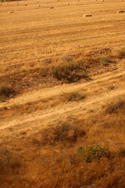 farmland