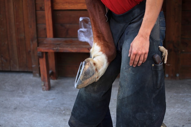 Farrier al lavoro