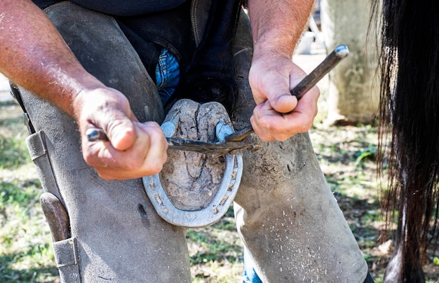 Farrier works in a field