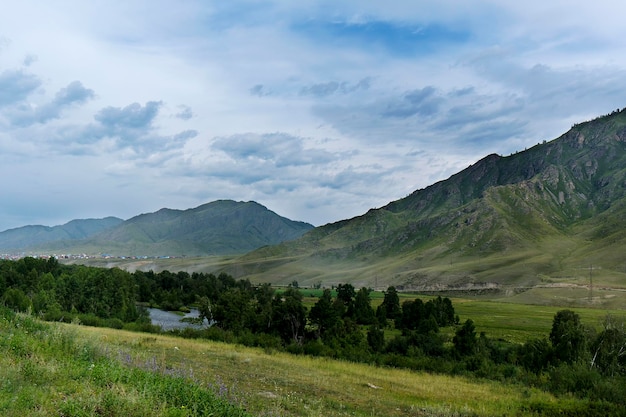 the fascinating beauty of the nature of the summer Altai