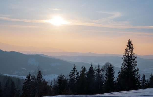 Fascinating sunny landscape of a winter forest located on a snowy slope on a sunny frosty winter day. The end of a holiday at a ski resort