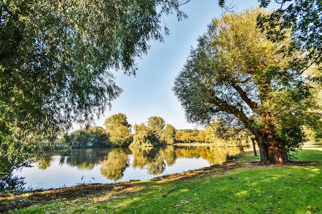 Fascinating view of the river