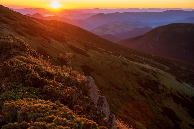 Fascinating view of summer sunset over high mountains with beautiful green nature Beautiful evening atmosphere on fresh air