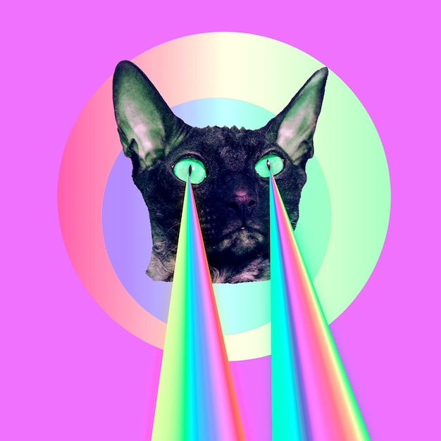 Foto gatto di moda con laser arcobaleno dagli occhi. minimal collage arte divertente