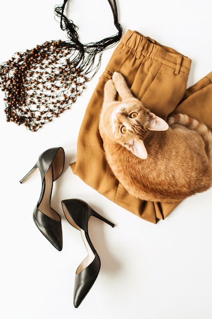 Fashion composition with women modern clothes, accessories, ginger cat on white surface