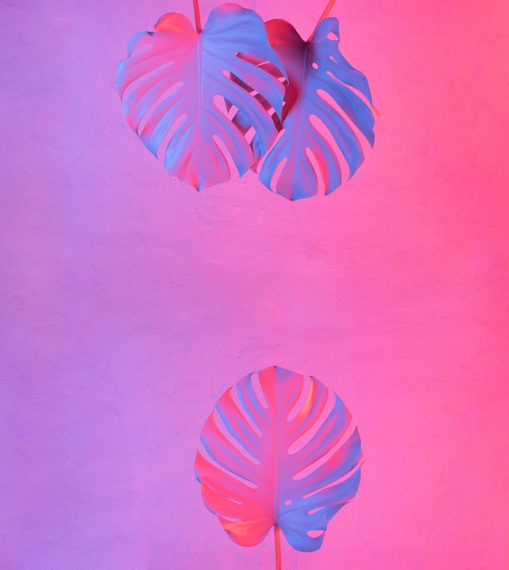 Photo fashion minimal background with neon lit tropical monstera leaves and copy space