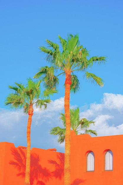 패션 트로피컬 로케이션 오렌지 호텔 팜 블루 여름 하늘