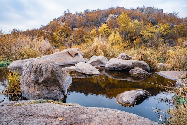 Photo a fast clean stream runs among smooth wet large stones surrounded by tall dry lumps