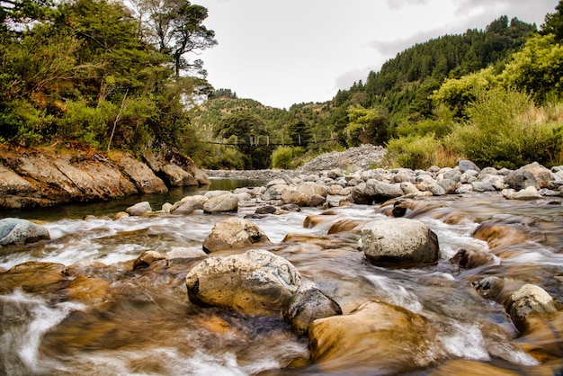 Fast flowing river rapids rushing past the boulders through the forest vegetation