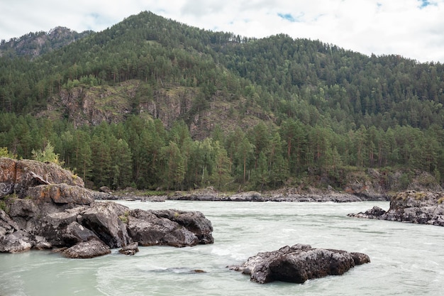 A fast-flowing wide and full-flowing mountain river. Large rocks stick out of the water.