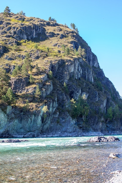 流れの速い広大な山川。美しい森を背景に海岸が見えます。アルタイ共和国、アルタイ山脈の大きな山の川カトゥニ、ターコイズ色。