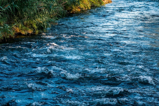 Foto il veloce fiume di montagna scorre tra le sponde erbose