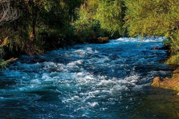 Fast mountain river flows among the wooded banks