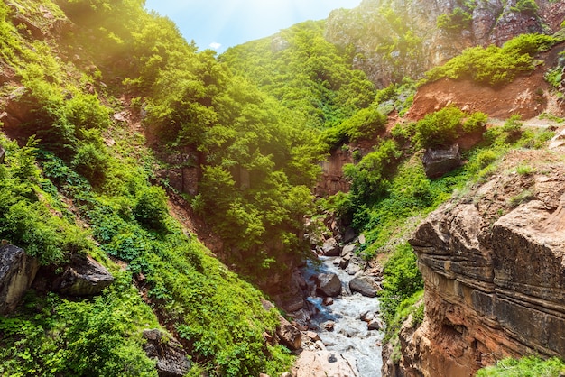 Fast mountain river in the gorge