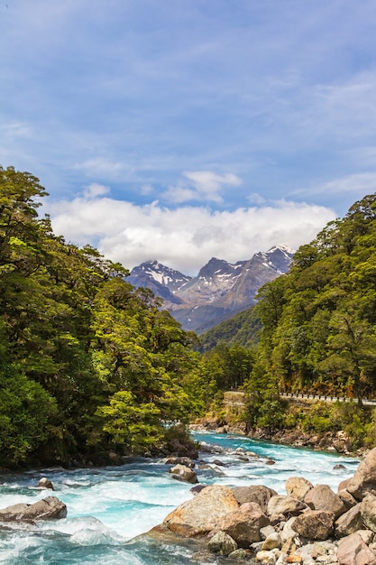 写真 フィヨルドランド国立公園ニュージーランドの山々を背景に速い川