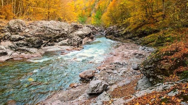 Fast river at the bottom of the gorge