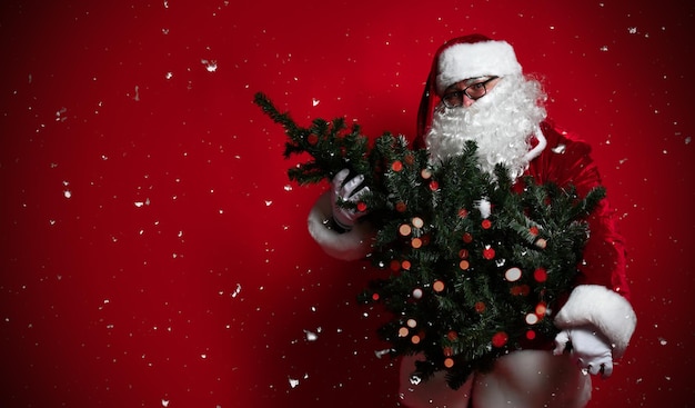 Fat belly of Santa Claus carries a Christmas tree and waves his hand in greeting on a red background