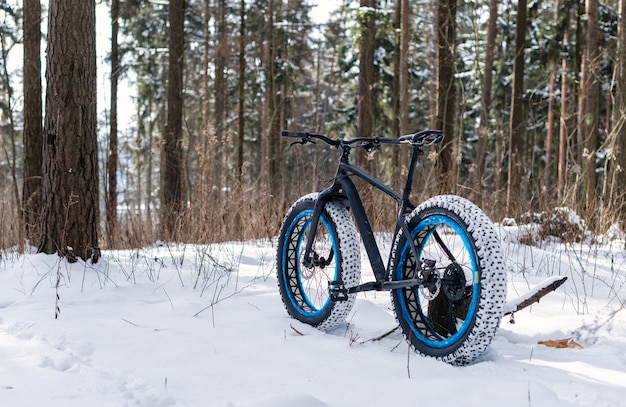 Fatbike in het winterbos op een zonnige dag