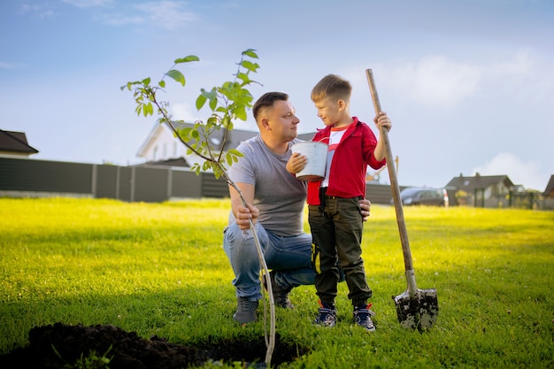 写真 家の前でシャベルで木を植える父と息子素敵な晴れた日父と息子の仕事