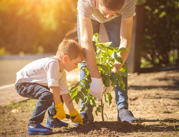 Il padre e un bambino piantano un albero