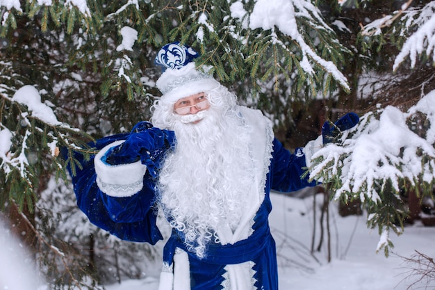 Father Frost with a bag of gifts in the woods, among the snowy trees. Winter, December.