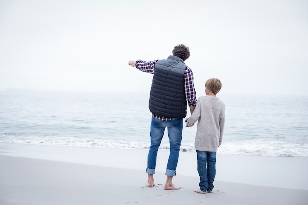 Father pointing while standing with son at sea shore