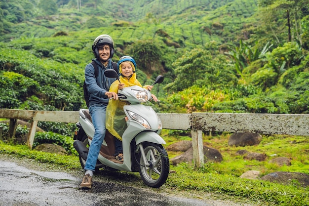 Father and son are traveling on a moped on a tea plantation in Malaysia. Traveling with children concept