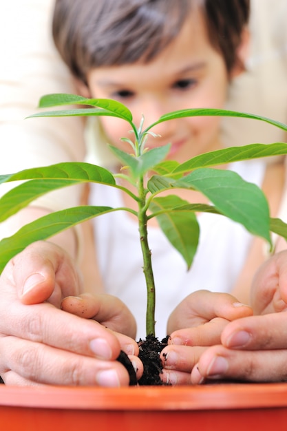 Father and son carefuly cultivating a plant